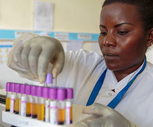 A health worker in Rwanda organizes blood samples.