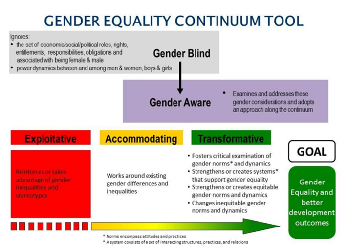 A picture of the gender equity continuum tool